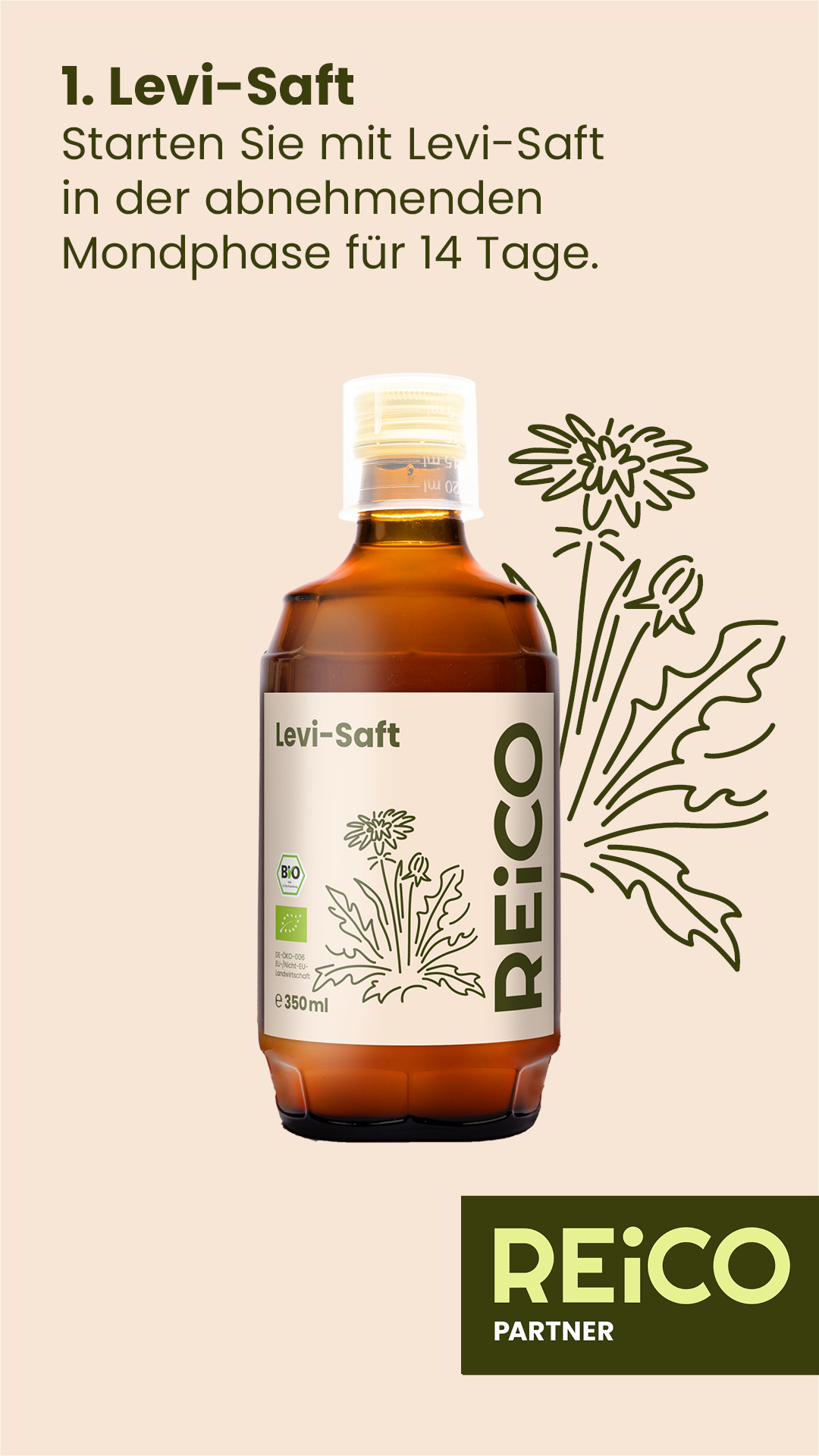 reico vital 2