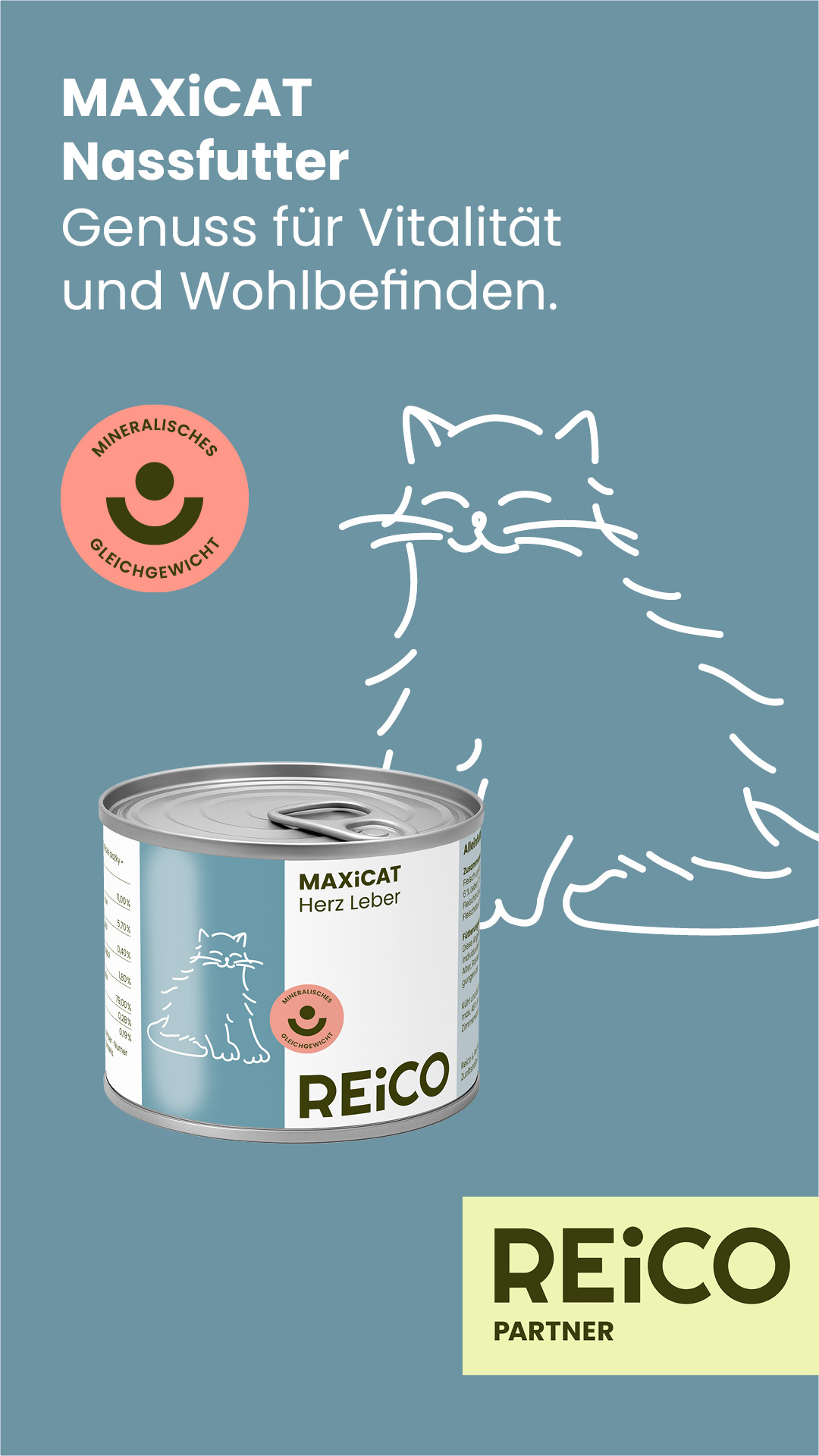 reico Katzen 2