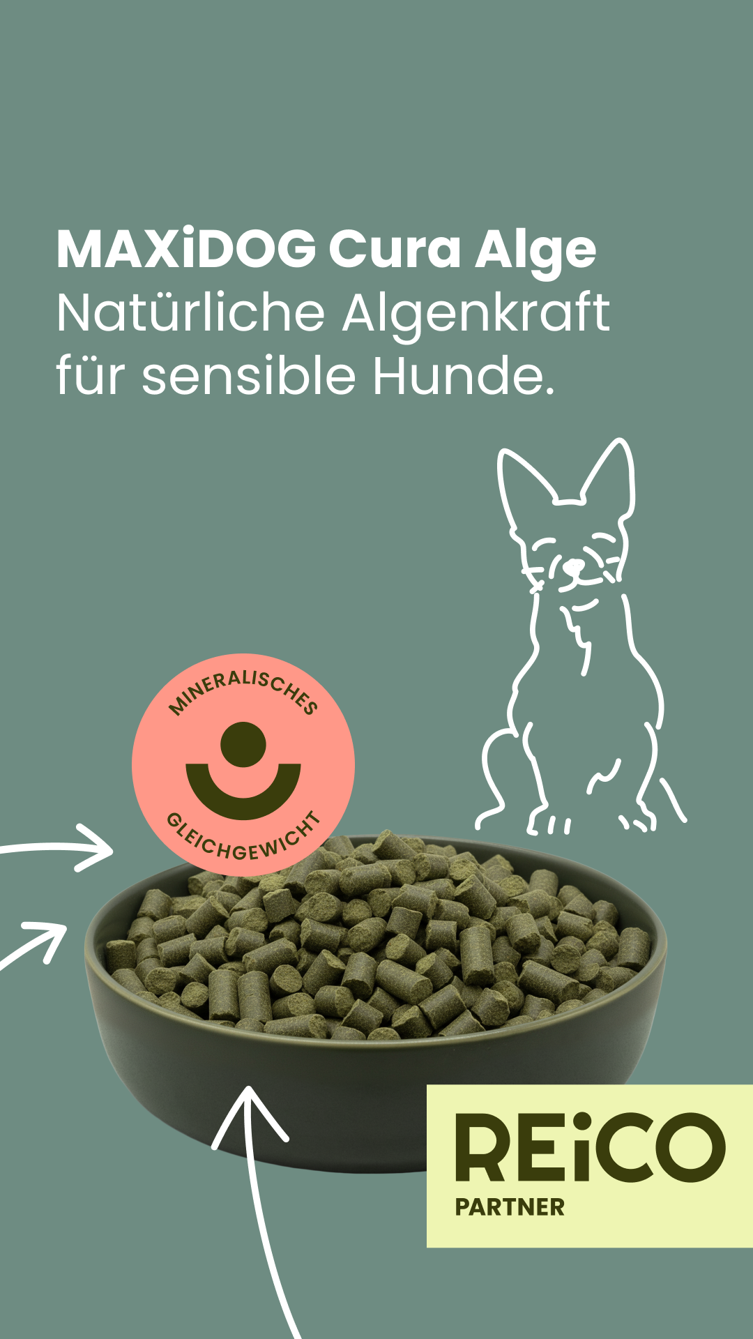 maxidog 1